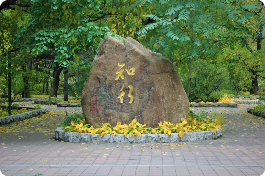 哪里可以找到关于减轻篮球训练压力的方法?_2